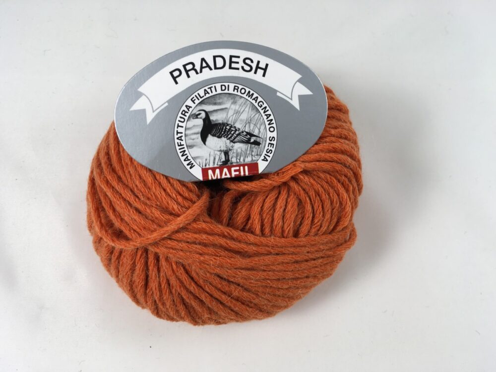Pradesh - immagine 6