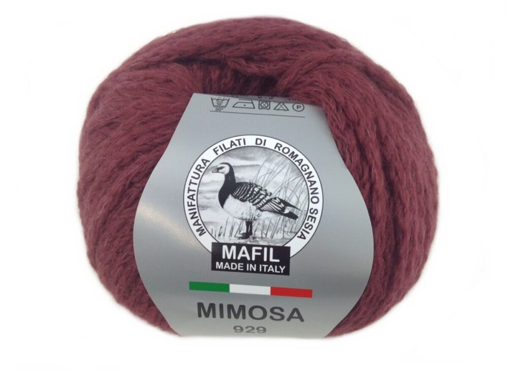 Mimosa - immagine 5