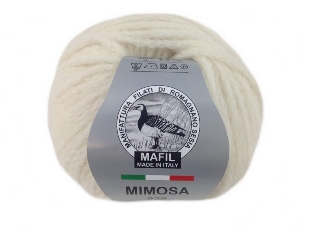 Mimosa - immagine 6