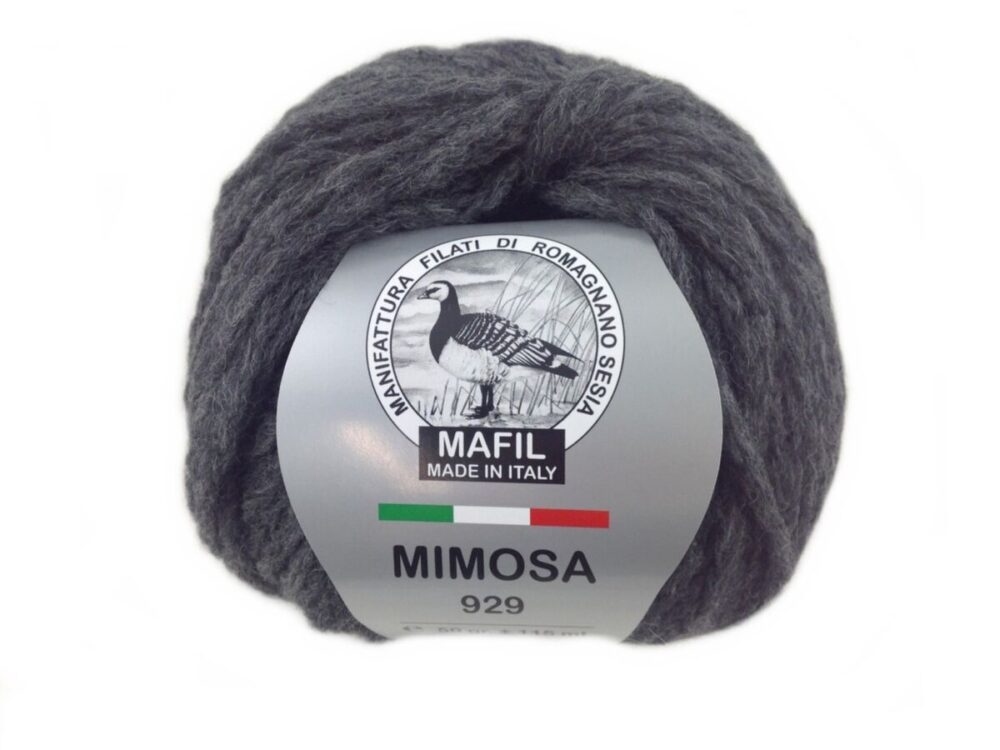 Mimosa - immagine 7