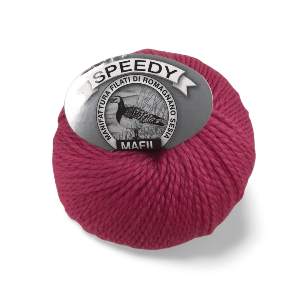 Speedy - immagine 9