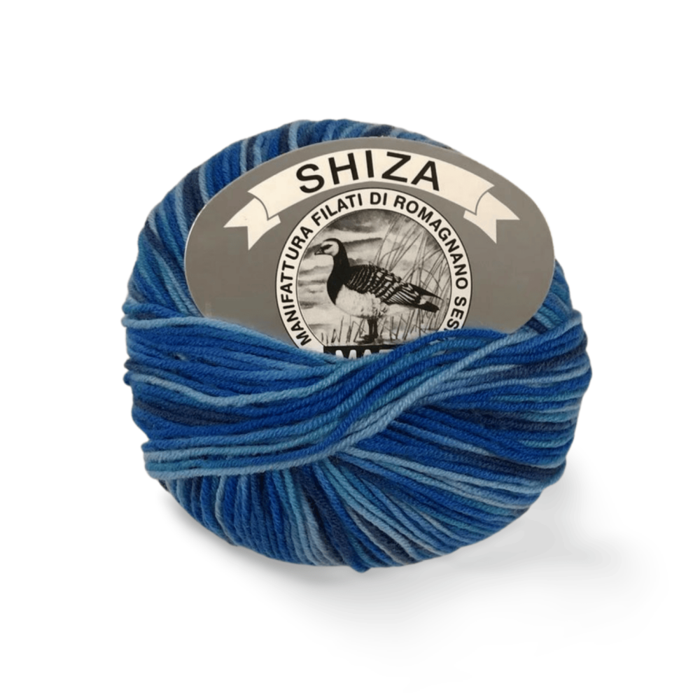 Shiza - immagine 3