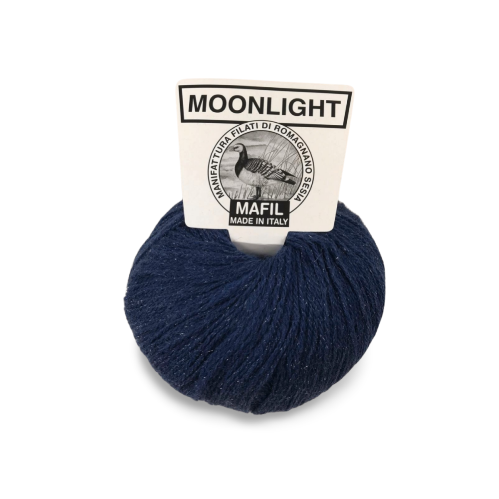 Moonlight - immagine 13