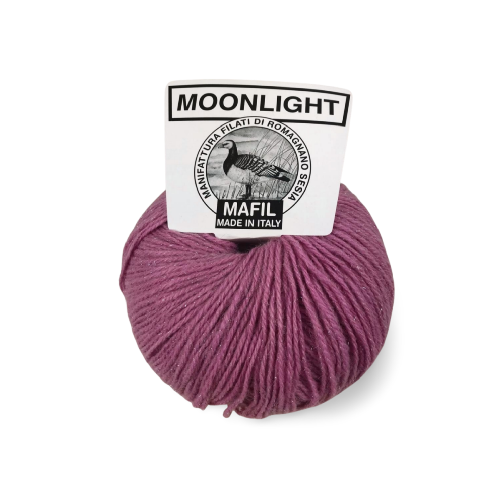 Moonlight - immagine 15
