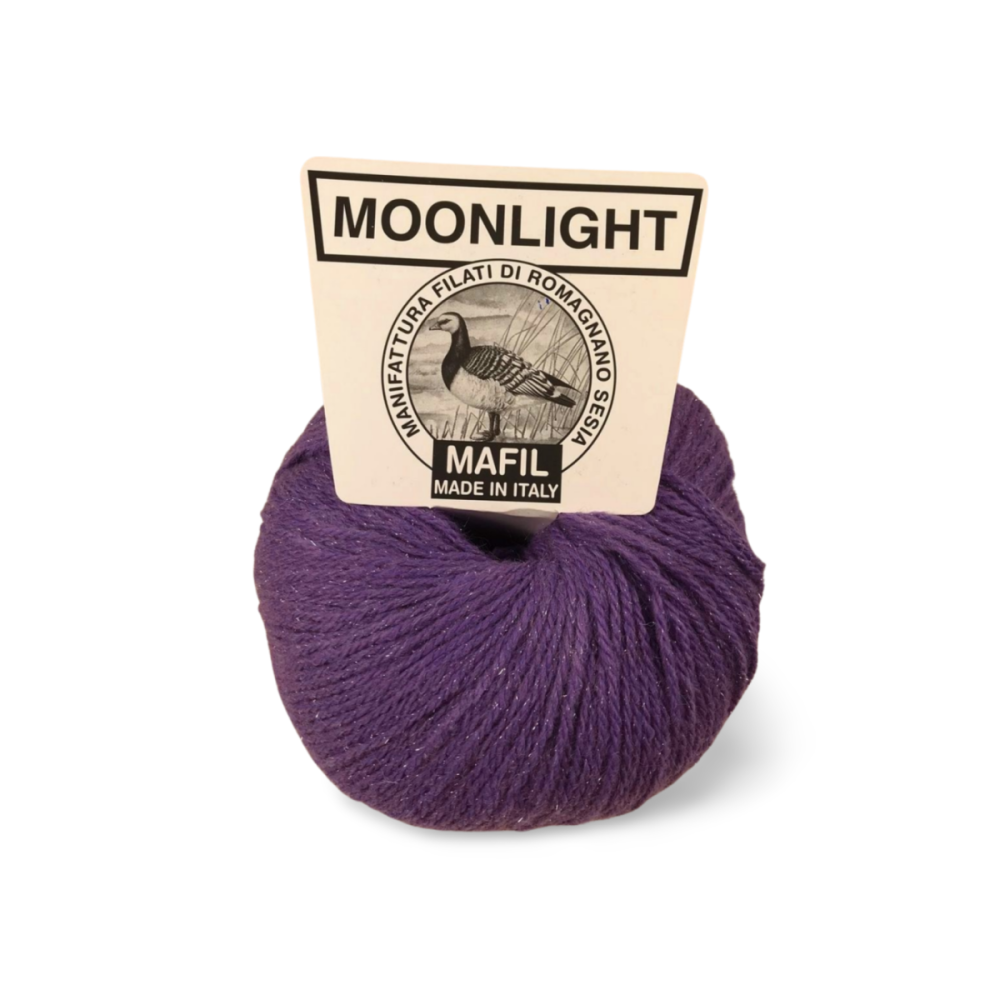 Moonlight - immagine 16